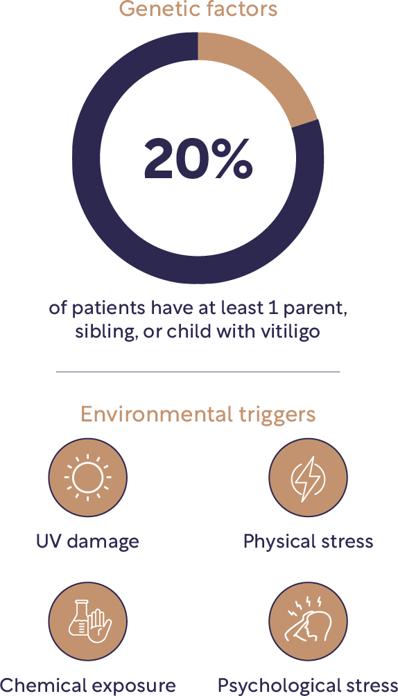 Infographic showing vitiligo aetiology and pathogenesis.